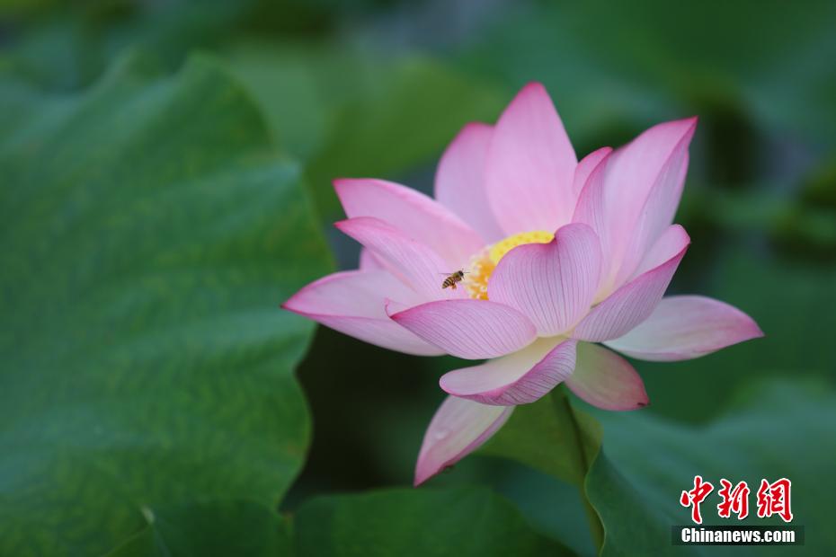 国内毛片毛片毛片毛片毛片毛片毛片毛片毛片毛片毛片毛片