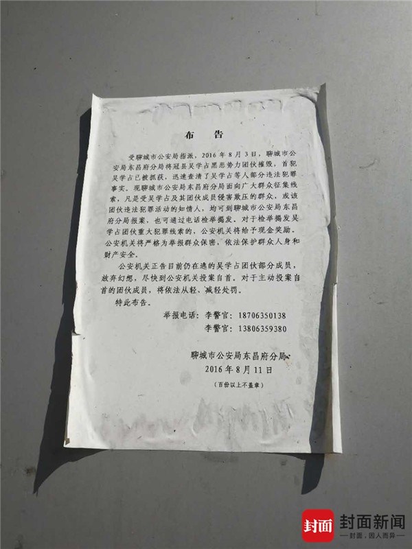 免费 的 成人 网站