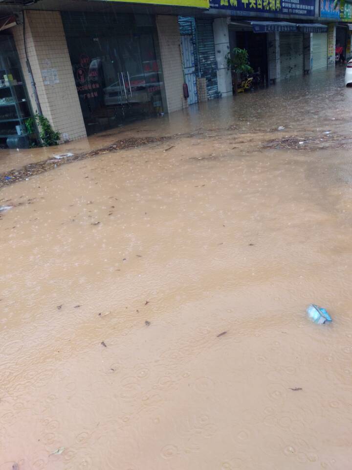 日台湾混血