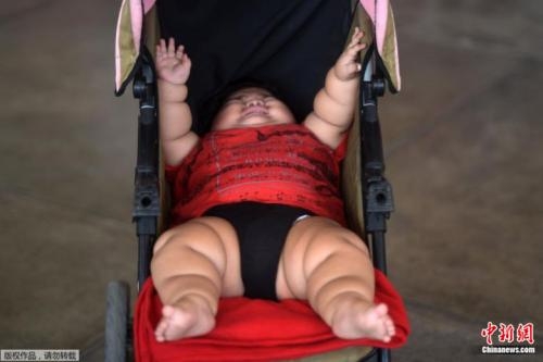 机机对机机游戏2023手机免费