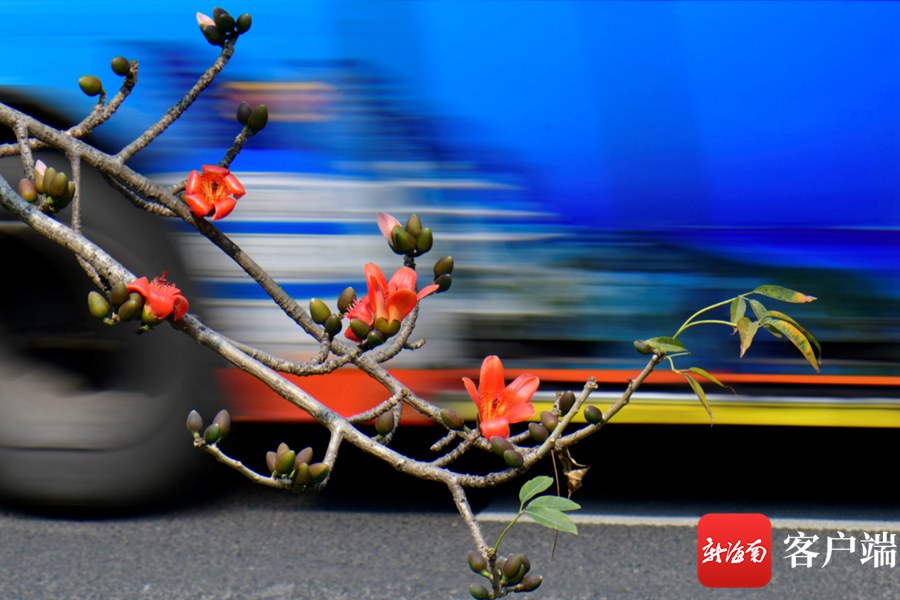 我老公呢
