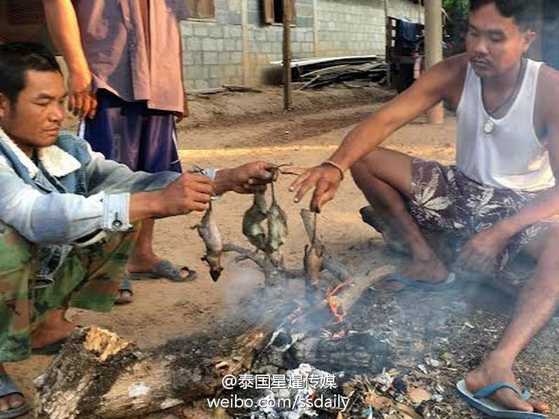 欧美黄色网站免费观看