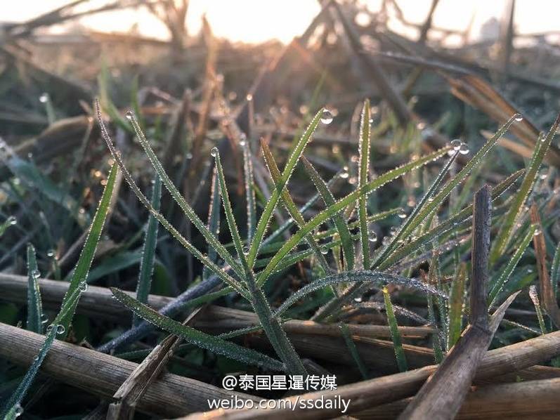 婦科內診