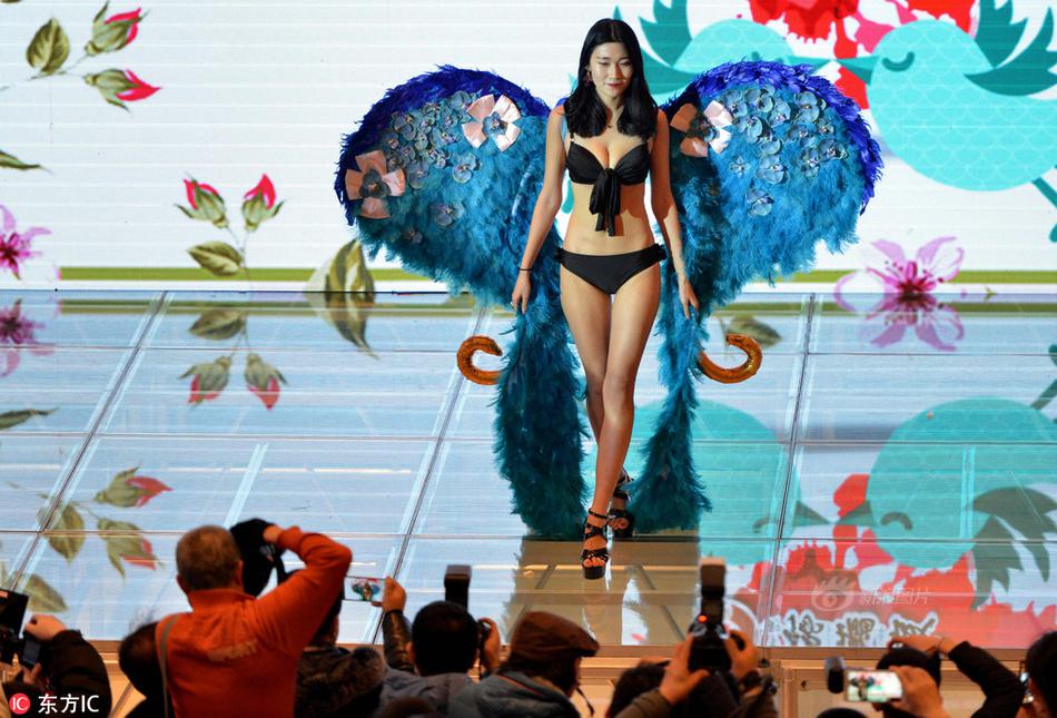三上悠亚和波多野结衣的背景故事