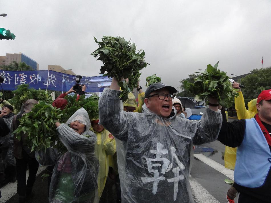 美女黄色网站在线观看