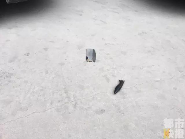 下载免费黄色网站
