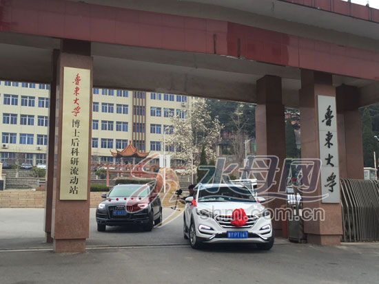 中国一级特色大黄