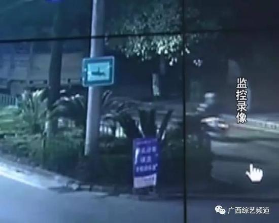 成人 导航 网站