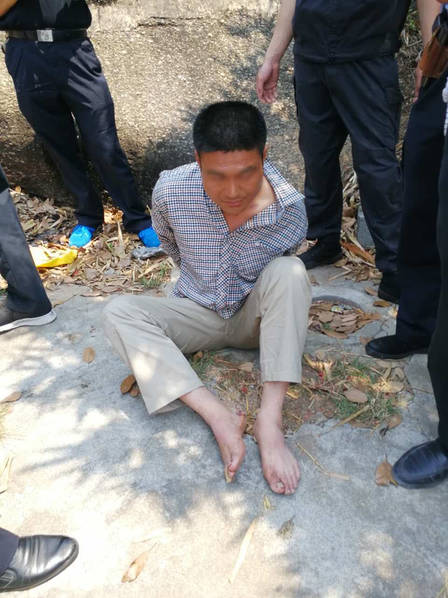 免费黄色高清网址