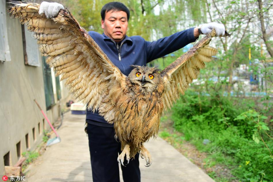 中国脏老太婆逼里射满精