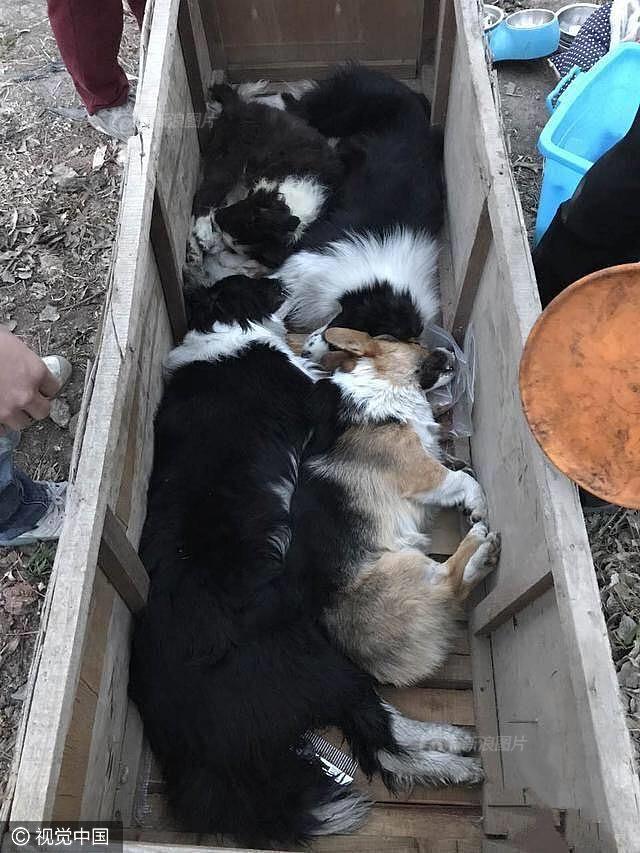 W黄色网站