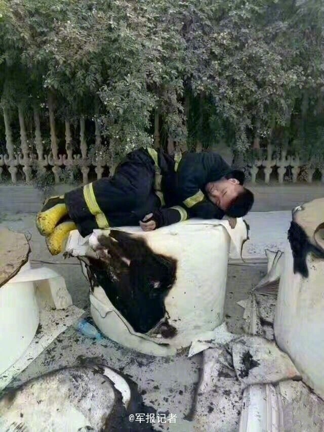 欧美多毛性爱