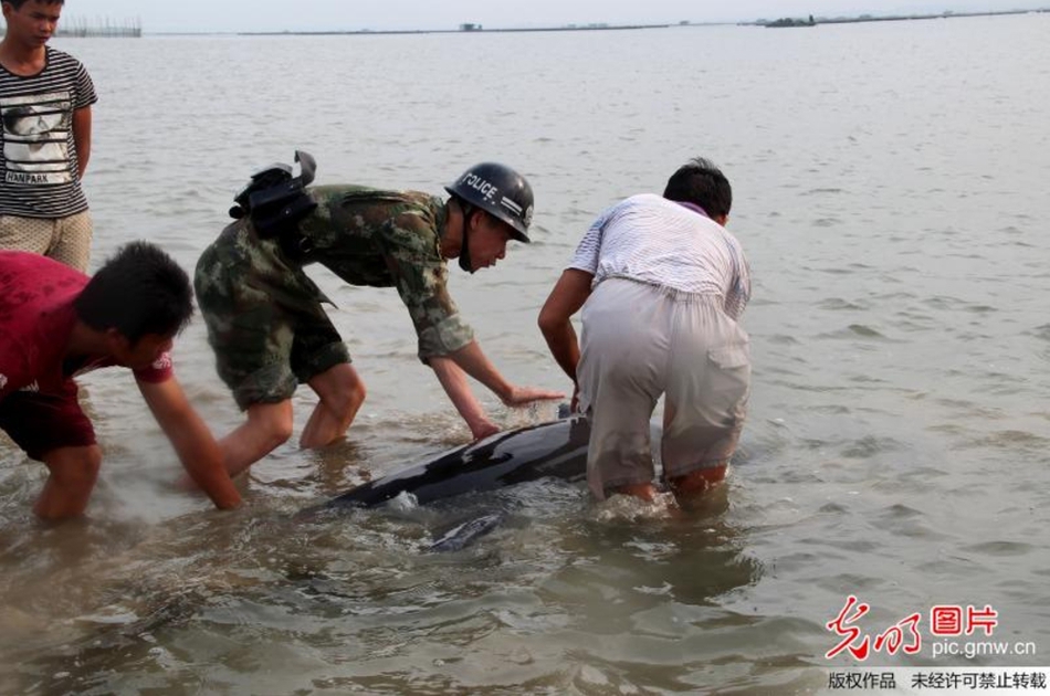 妈咪色情片