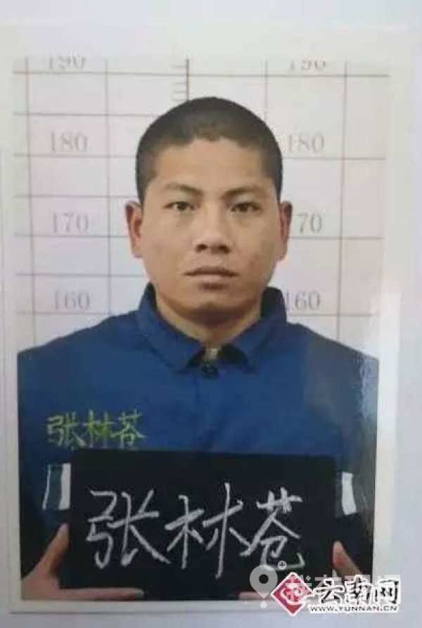 国产性色视频网站