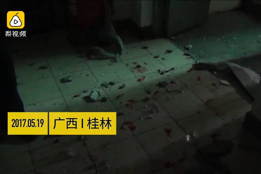 成人 影视 片