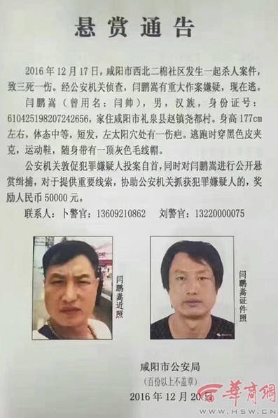 欧美人与人动人物2024 心理学