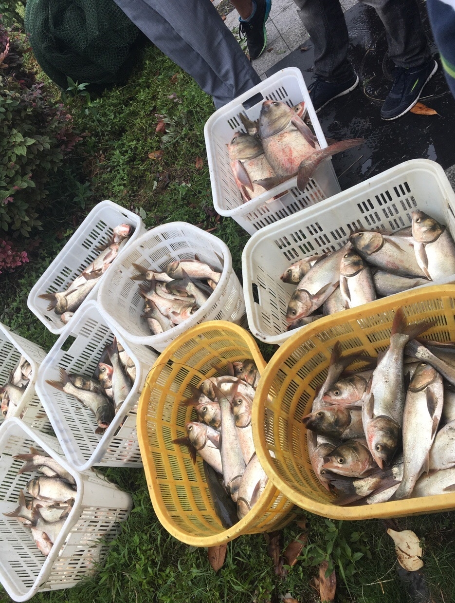 被宿友集体扒开腿用黄瓜调教