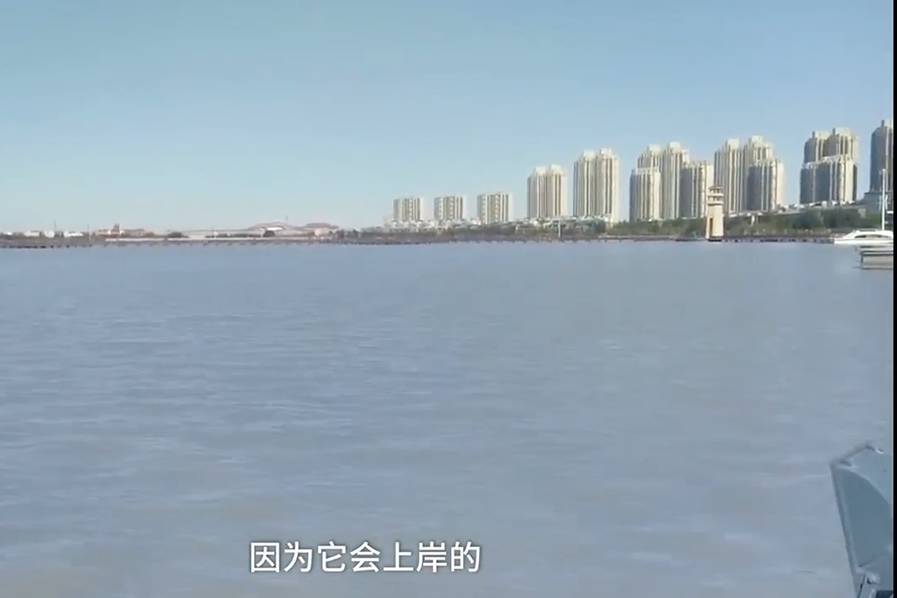 不雅照