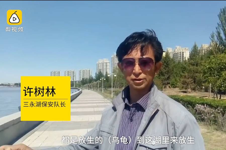 国产黄色三级片网站
