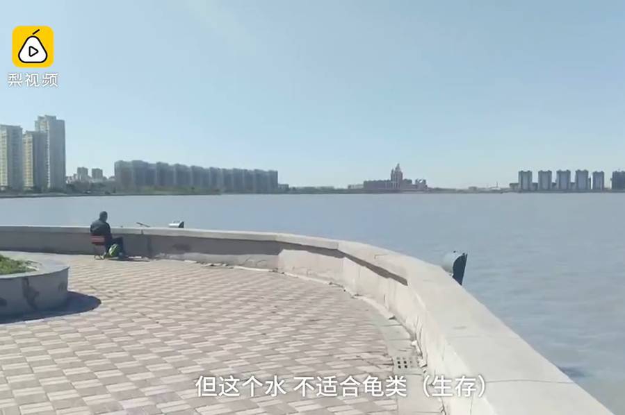 国外 成人
