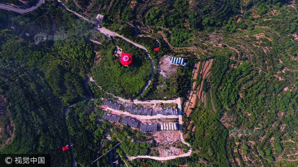 手机AV在线