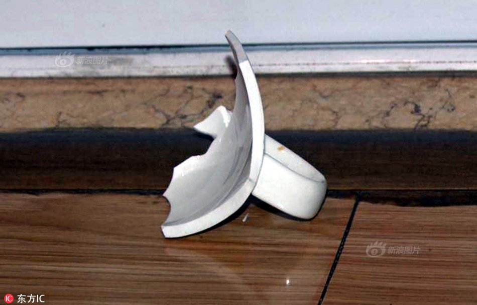 巴西人与性动交