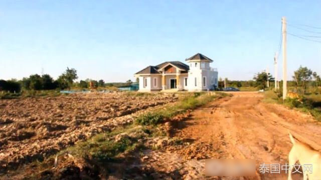 黄色电景中国按摩富婆