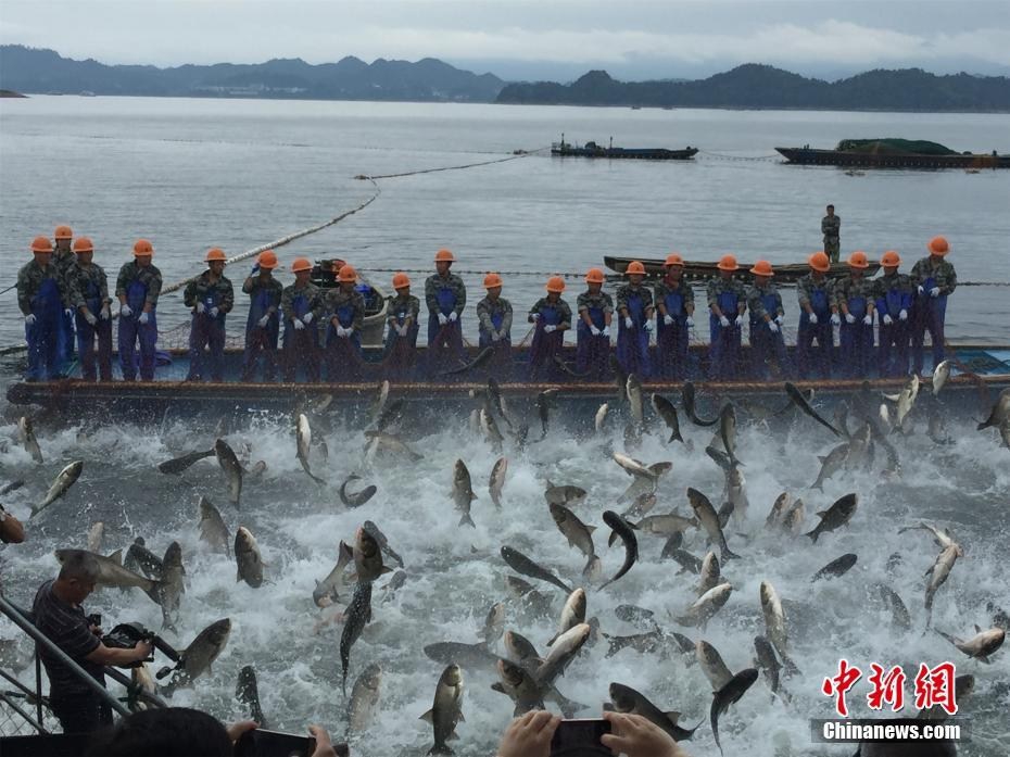 国产三级片在线观看