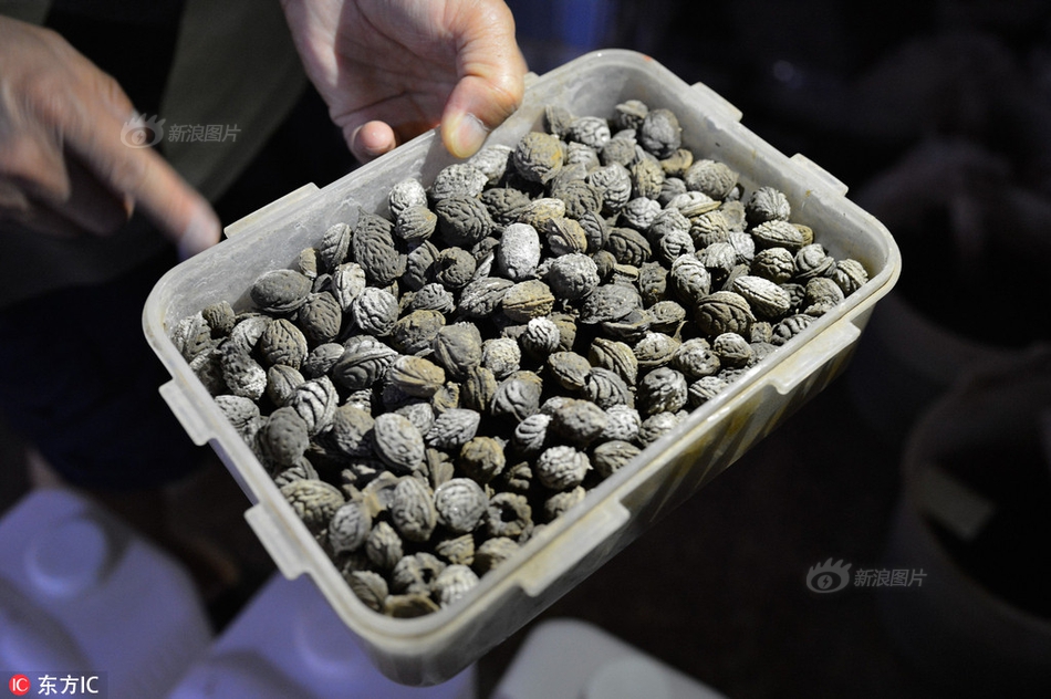 《熟妇的荡欲》欧美电影