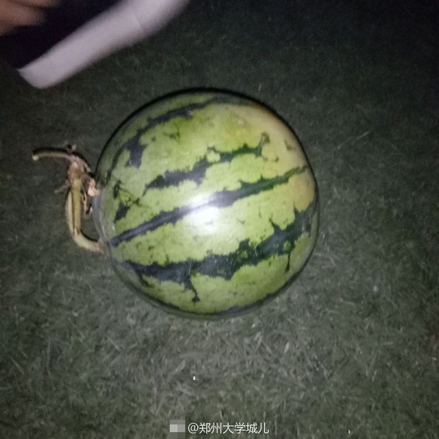 成人 网站 观看