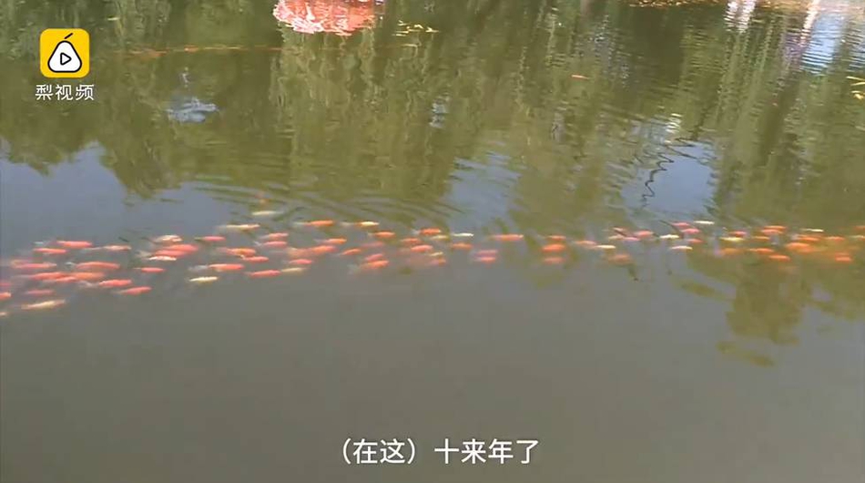 美剧19禁啪啪无遮挡大尺度