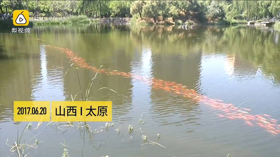 寫真男同 GV藍男色