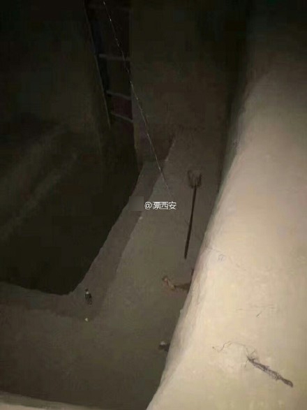 朴美月