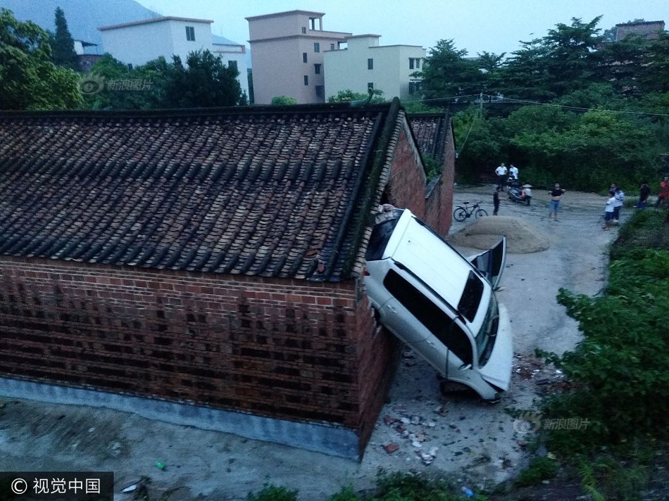 彎屌