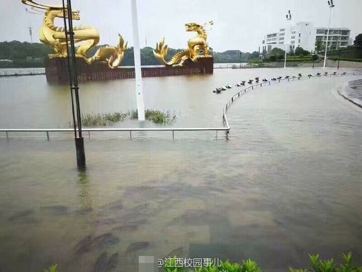 杨幂被 到喷水奶头硬硬的