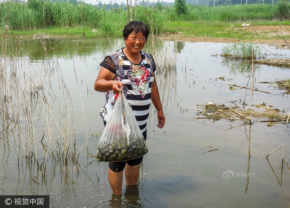 女人撩起双乳喂给男人