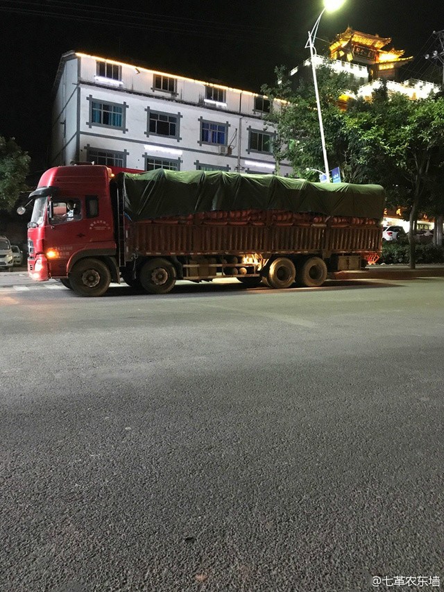 唐三的坤坤放在宁荣荣哪里