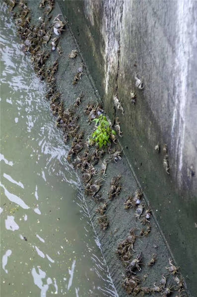 涩涩色情