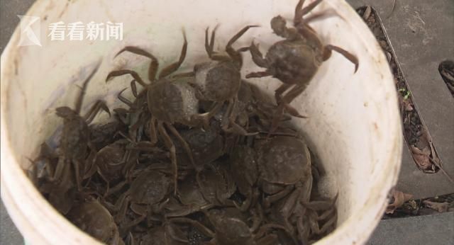 《交换:年轻夫妇》