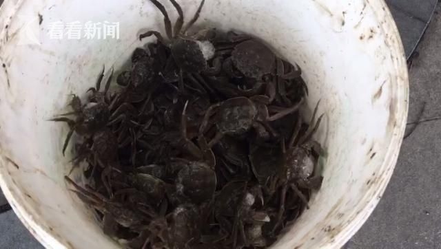 久久夜色精品国产www红杏