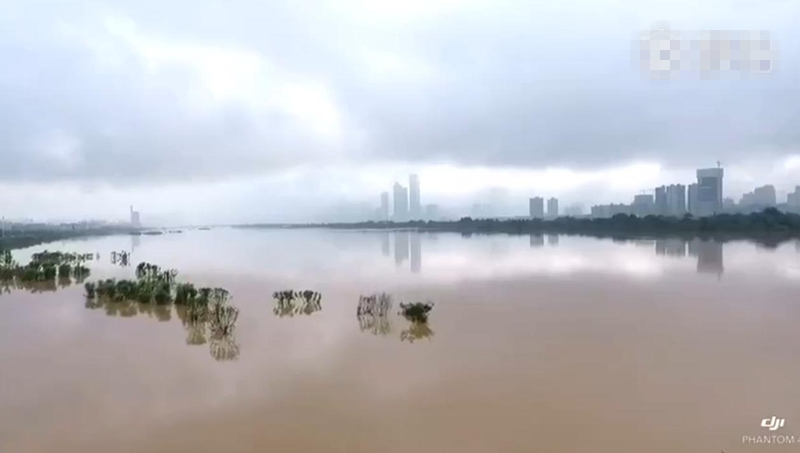 国产乱人乱偷精品视频a人人澡