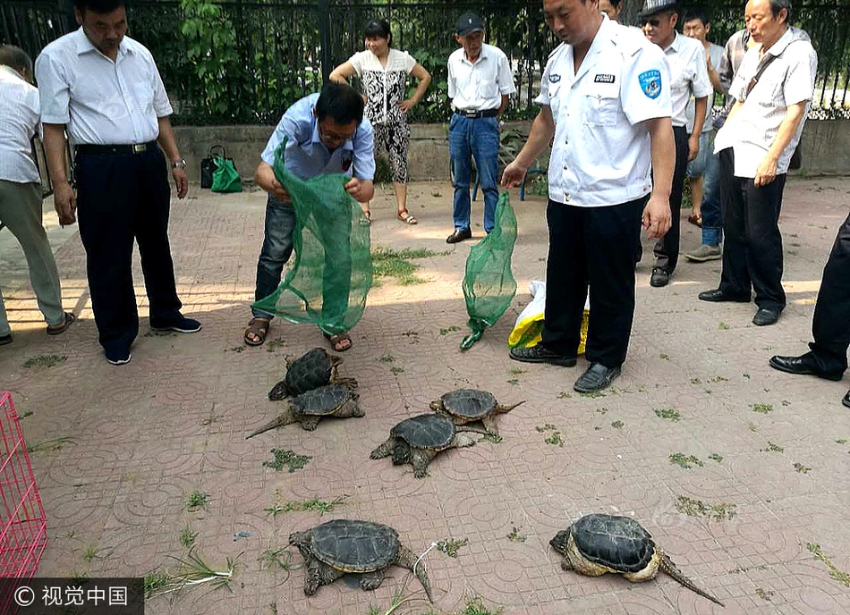 办公室撕开奶罩 吮奶明星