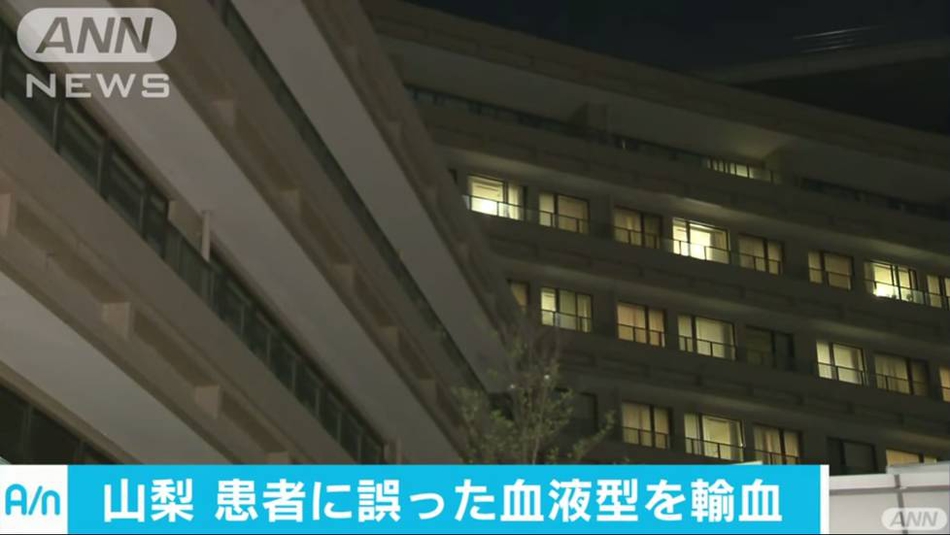 欧美又粗又大AAA片