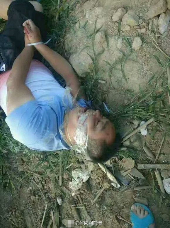 美女和狗操遍视频