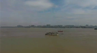 动画片黄色视频网站