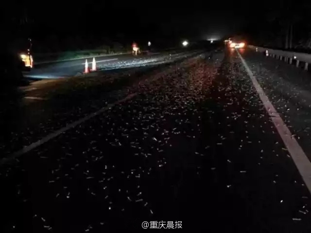 校花被小混混脱裤玩J出水