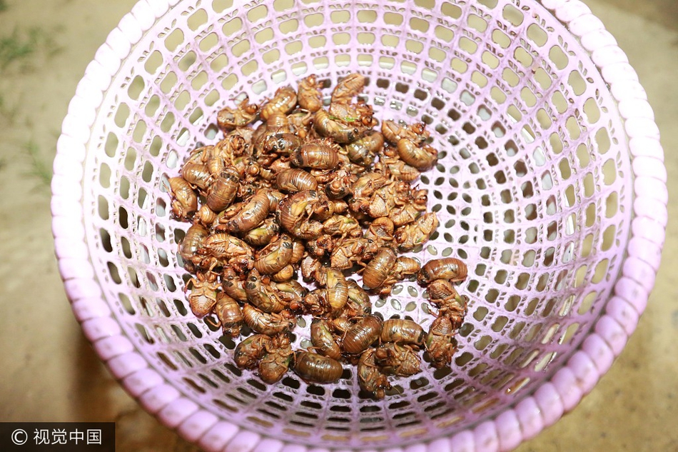 范冰冰一二三区毛片影库