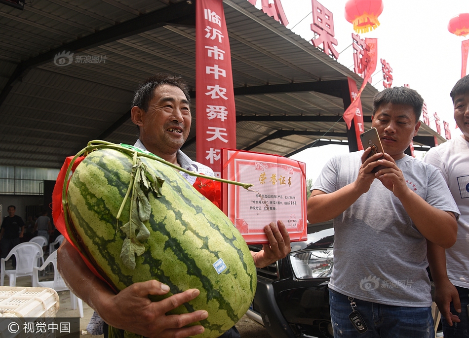 国产精品乱码一区二三区张津瑜