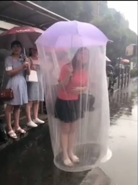 看黄色网站免费在线观看