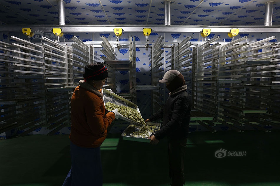 骚年瘦老头玩八旬老头